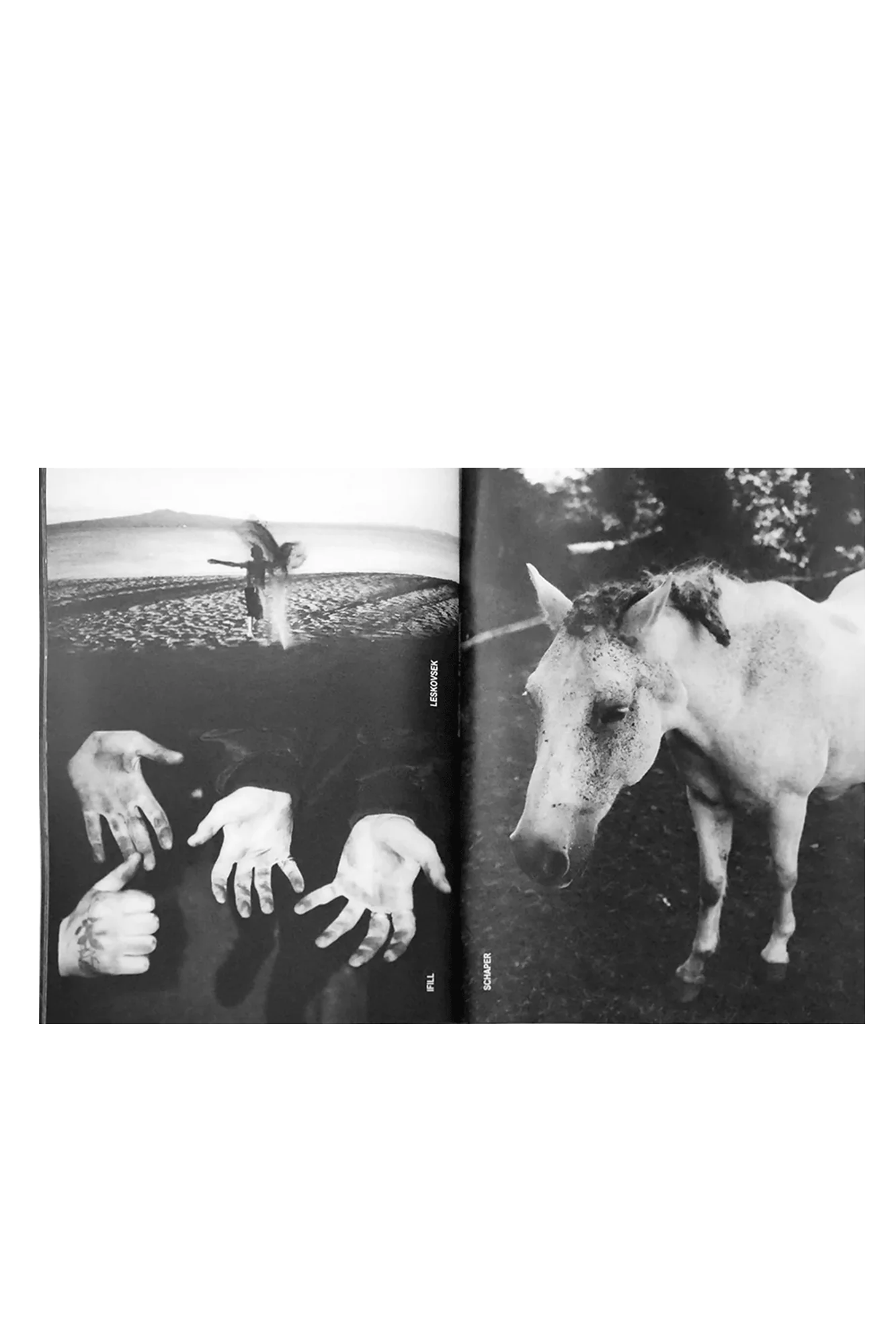 Immagine prodotto 3
