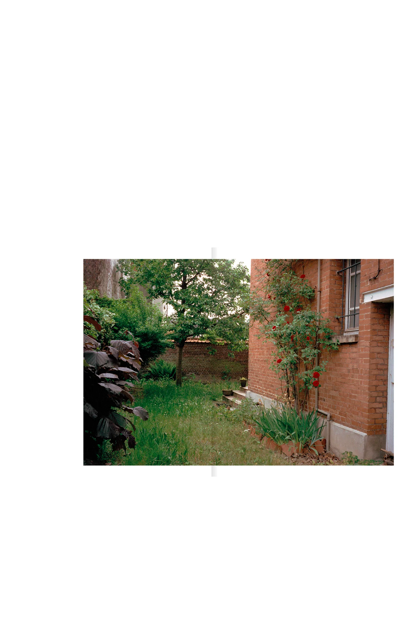 Immagine prodotto 6